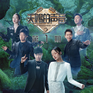 70hinese浓毛老太HD
