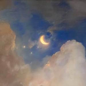 70hinese浓毛老太HD
