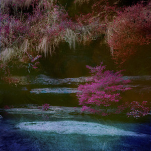 70hinese浓毛老太HD
