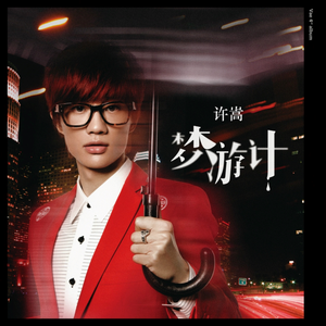 70hinese浓毛老太HD
