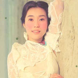 70hinese浓毛老太HD
