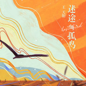 70hinese浓毛老太HD
