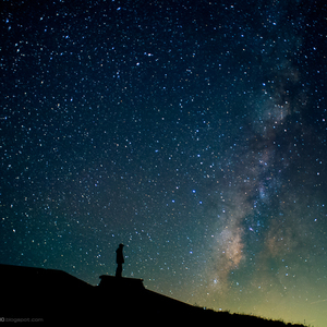 70hinese浓毛老太HD
