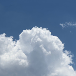 70hinese浓毛老太HD
